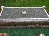 image of grave number 776632
